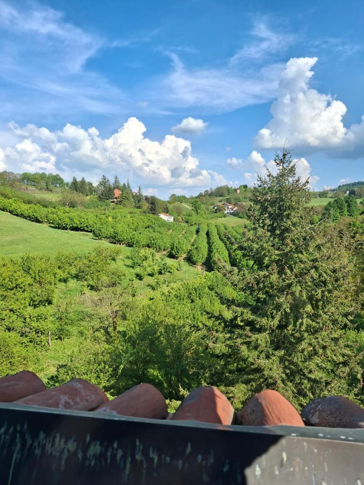 Апартаменти Cascina Bringin Мондові Екстер'єр фото