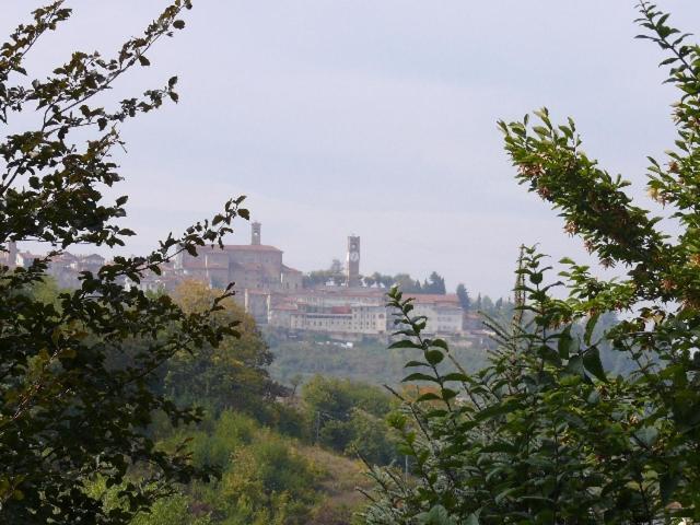 Апартаменти Cascina Bringin Мондові Екстер'єр фото